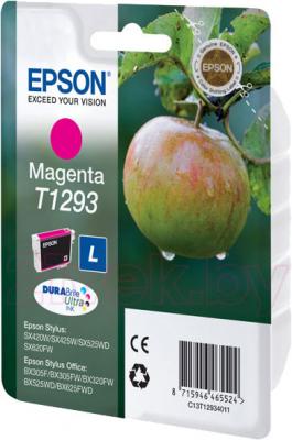 Картридж Epson C13T12934011 - общий вид