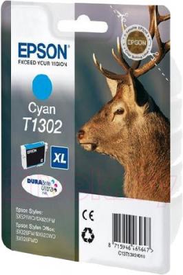 Картридж Epson C13T13024010 - общий вид