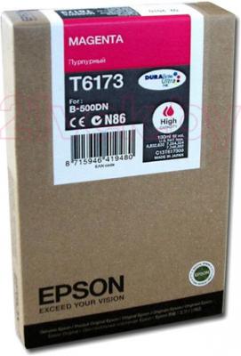 Картридж Epson C13T617300 - общий вид