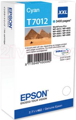 Картридж Epson C13T70124010 - общий вид
