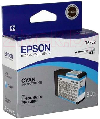 Картридж Epson C13T580200 - общий вид