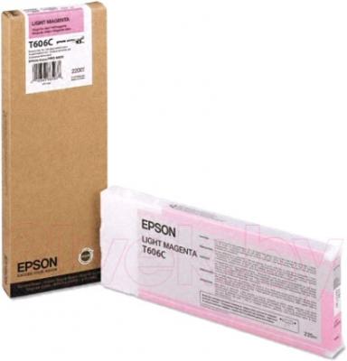 Картридж Epson C13T606C00 - общий вид