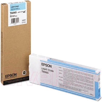 Картридж Epson C13T606500 - общий вид