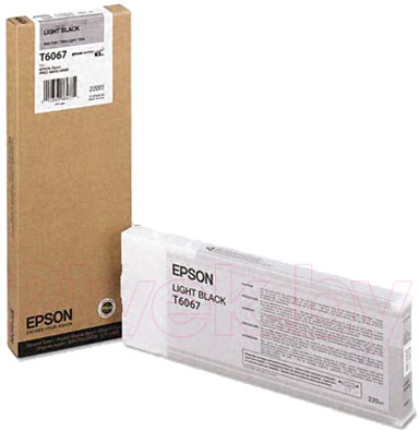 Картридж Epson C13T606700 - общий вид