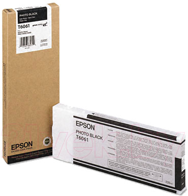 Картридж Epson C13T606100 - общий вид