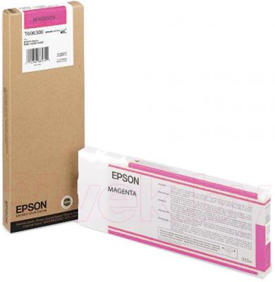 Картридж Epson C13T606300 - общий вид