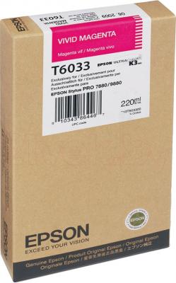 Картридж Epson C13T603300 - общий вид
