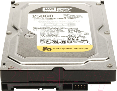 Жесткий диск Western Digital RE4 250GB (WD2503ABYX)