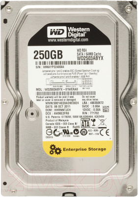 Жесткий диск Western Digital RE4 250GB (WD2503ABYX)