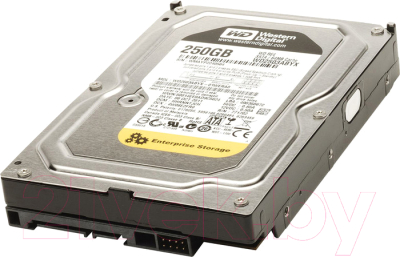 Жесткий диск Western Digital RE4 250GB (WD2503ABYX)