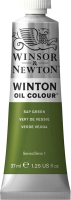 

Масляные краски Winsor & Newton, Winton / 1414599