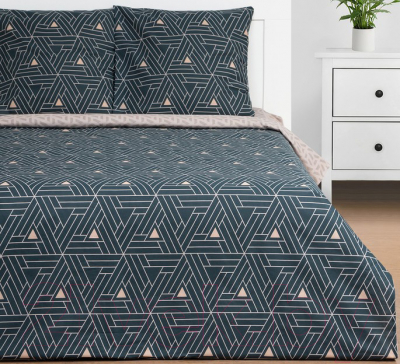 Комплект постельного белья Этель Triangular Illusion / 9303822