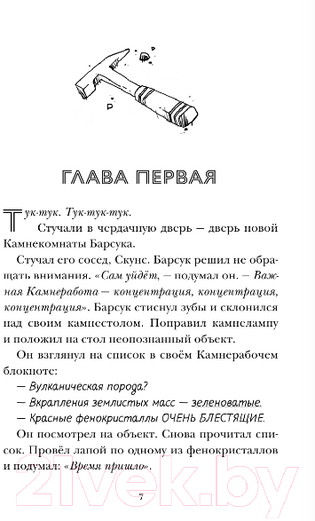 Художественная книга АСТ Скунс и Барсук. Невероятное сокровище (Тимберлейк Э., Классен Д.) — фото 4