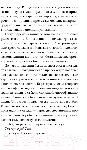 Художественная книга АСТ Скунс и Барсук. Невероятное сокровище (Тимберлейк Э., Классен Д.) — фото 6