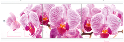 Экран для ванны МетаКам Ультра легкий АРТ 1.68 (дикая орхидея)