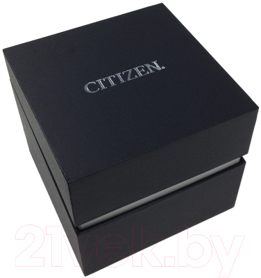 Часы наручные мужские Citizen CB5848-57L