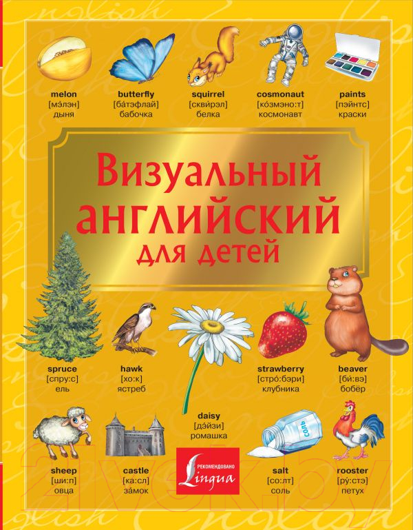 Книга АСТ Визуальный английский для детей