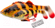 Миниатюра изображения товара Мягкая приманка Savage Gear 4D Perch Shad SS Firetiger / 61795