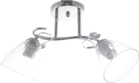 Потолочный светильник Aitin-Pro НПБ 02-2x60-101 / DA5150/2 (хром) - 
