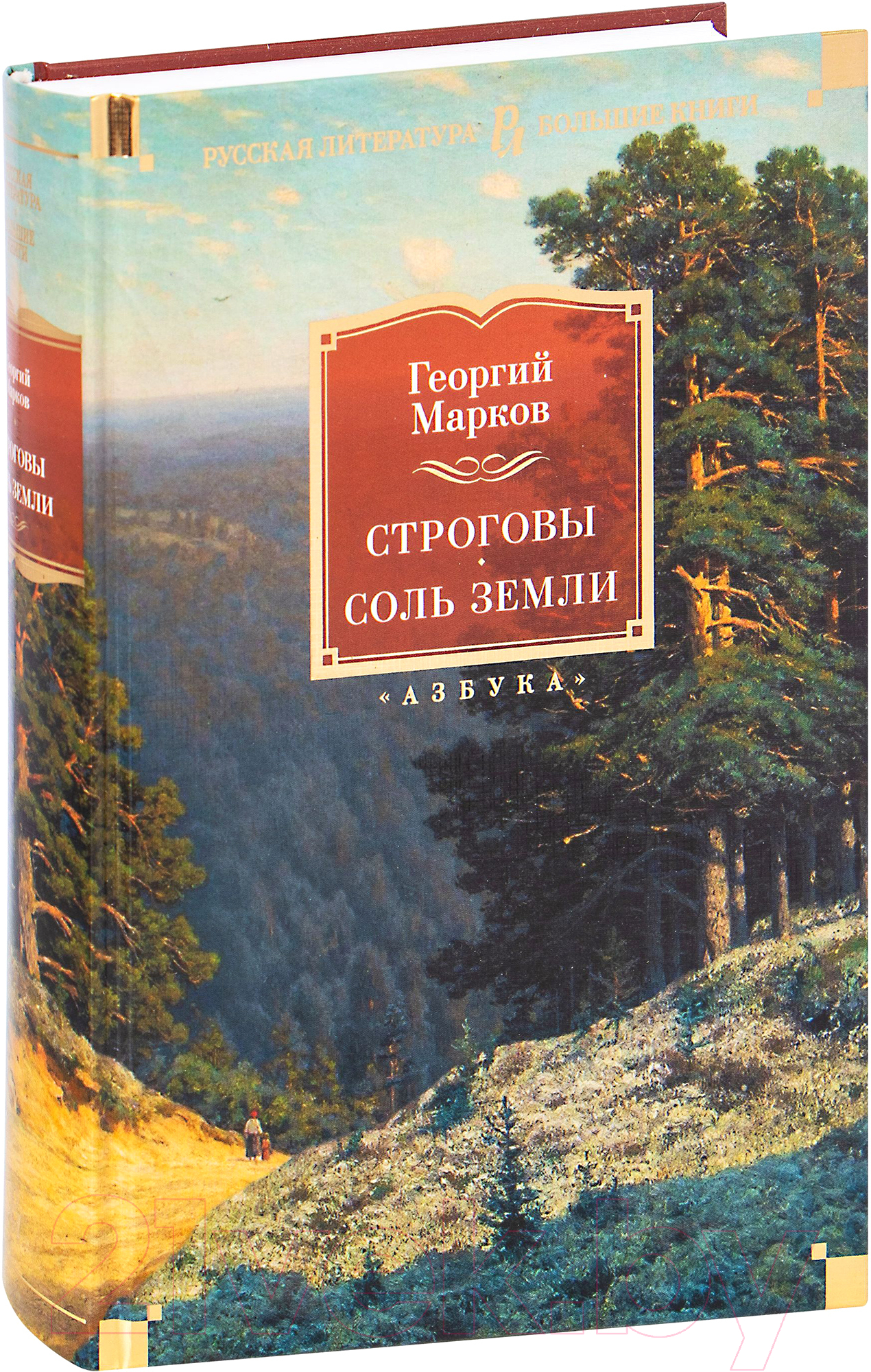 Художественная книга Азбука Строговы. Соль земли (Марков Г.) — фото 2