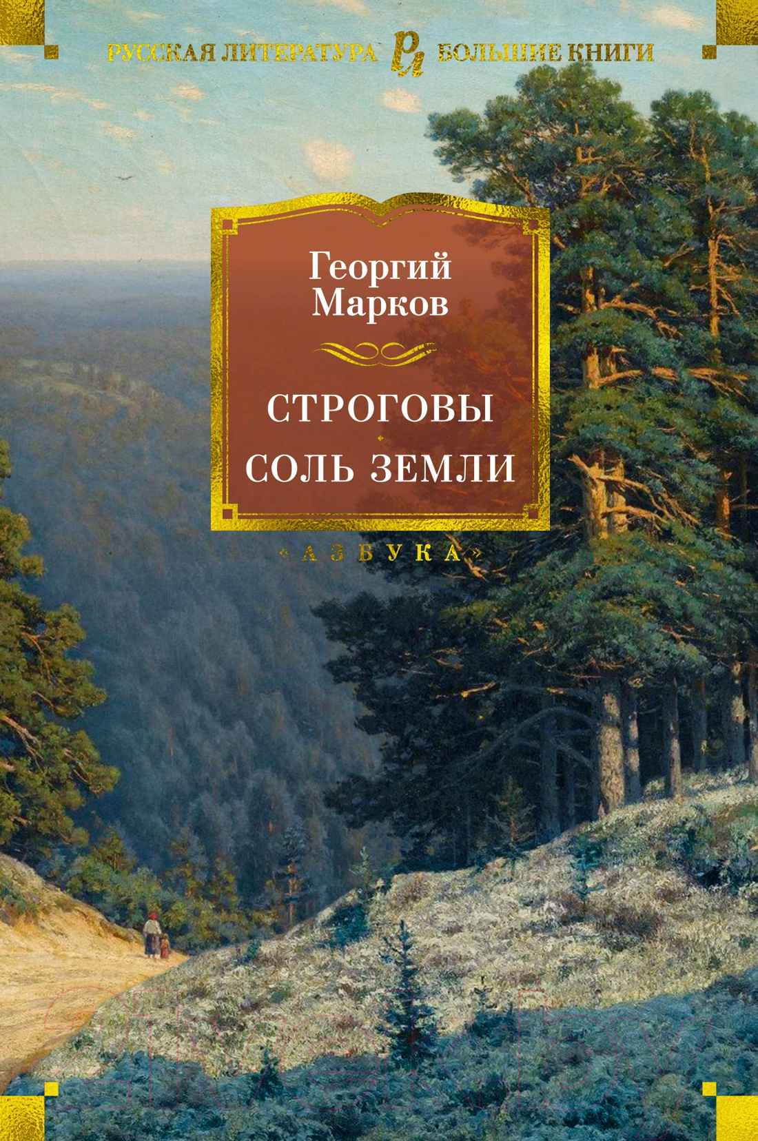 Художественная книга Азбука Строговы. Соль земли (Марков Г.) — фото 1