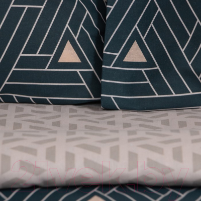 Комплект постельного белья Этель Triangular Illusion / 9303820