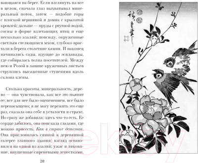 Книга Азбука Только роза / 9785389203037 (Барбери М.)