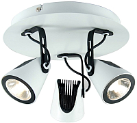 

Спот, Loft LSN-4101-03