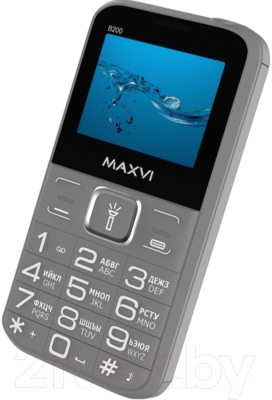 Мобильный телефон Maxvi B200 (серый+ЗУ)