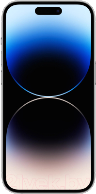 Изображение товара Смартфон Apple iPhone 14 Pro 256GB / MQ103 (серебристый)