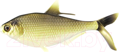 Мягкая приманка 13 Fishing B.A.M.F. Shad Swimbait Gold Retriver / CB-BAMF8-3