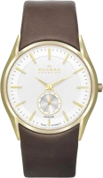 

Часы наручные мужские Skagen, SKW6059