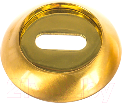 Накладка под сувальдный ключ Ренц INOB 08 SG/GP (латунь матовая/латунь блестящая)