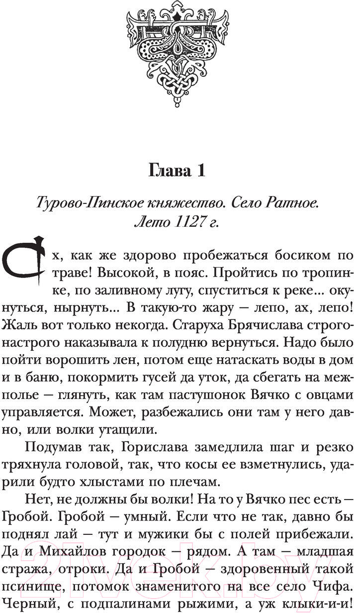 Художественная книга АСТ Сотник. В ответе за всех (Красницкий Е.С., Посняков А.А.) — фото 4