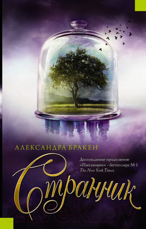 Художественная книга АСТ Странник (Бракен А.) — фото 1
