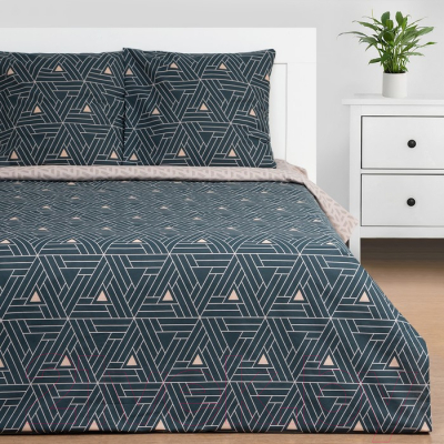 Комплект постельного белья Этель Triangular Illusion / 9303821
