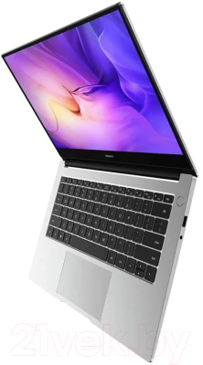 Ноутбук Huawei MateBook D14 NbD-WDI9 (мистическое серебро)