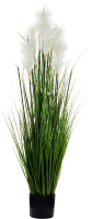 Искусственное растение Merry Bear Home Decor Микс трава-кортадерия белая KA0965 - 