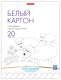 Набор белого картона Erich Krause 58490 (20л) - 