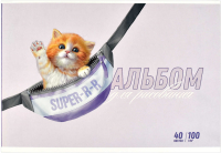 

Альбом для рисования, Котик / 60381