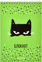 

Блокнот Феникс+, Черная маска / 62781