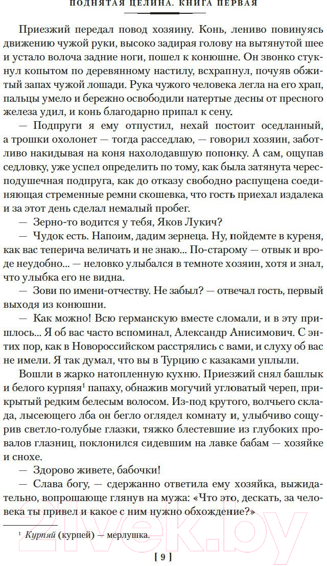 Художественная книга Азбука Поднятая целина / 9785389203105 (Шолохов М.) — фото 4