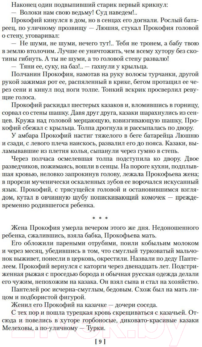 Художественная книга Азбука Тихий Дон (Шолохов М.) — фото 4