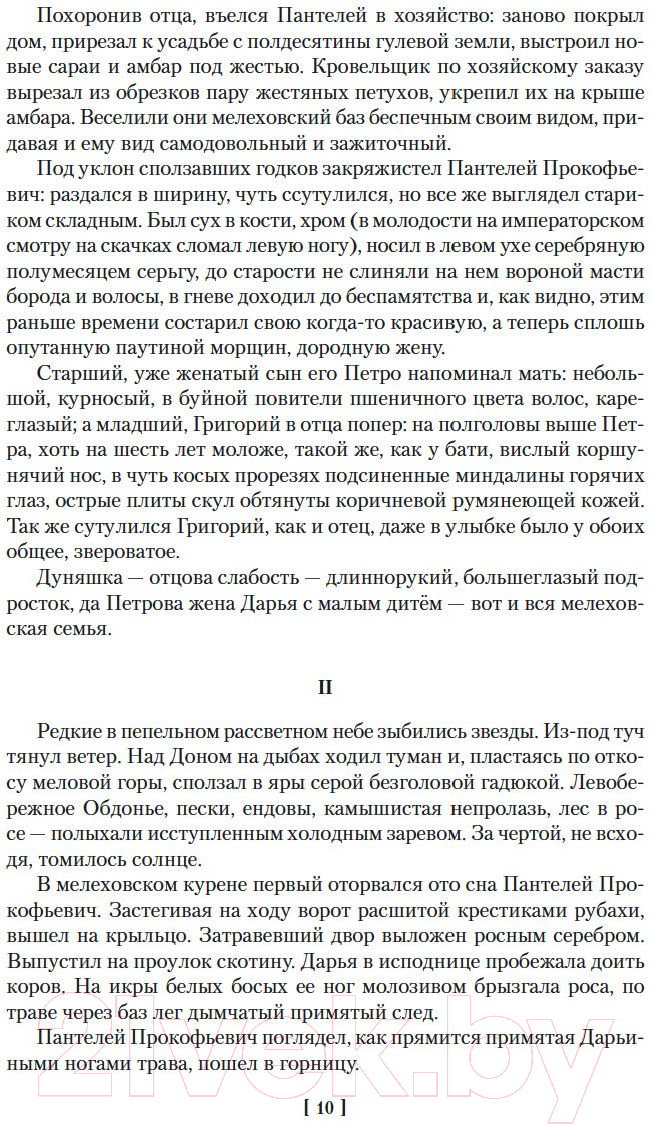 Художественная книга Азбука Тихий Дон (Шолохов М.) — фото 5