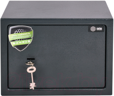 Изображение товара Мебельный сейф Cactus CS-SF-K25