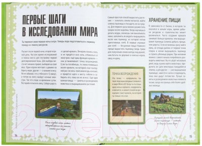 Книга Эгмонт Minecraft. Первое знакомство. Советы путешественнику (Пиле С.)