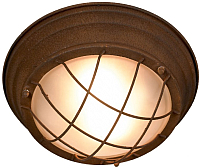 Потолочный светильник Lussole Loft LSP-8068 - 