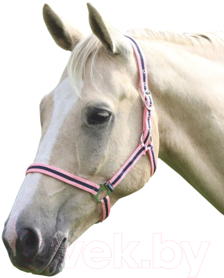 Недоуздок для лошади Shires Wessex SPONY 363/PNK/NVY/SPONY (розовый/синий)