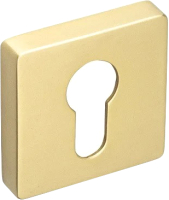 

Накладка на цилиндр, ET SQ МР35