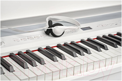 Цифровое фортепиано Becker BSP-102W (белый)